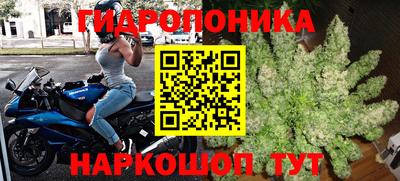 PSILOCYBIN Новозыбков