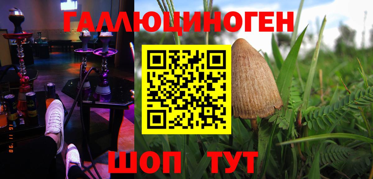 Псилоцибиновые грибы прущие грибы Урюпинск
