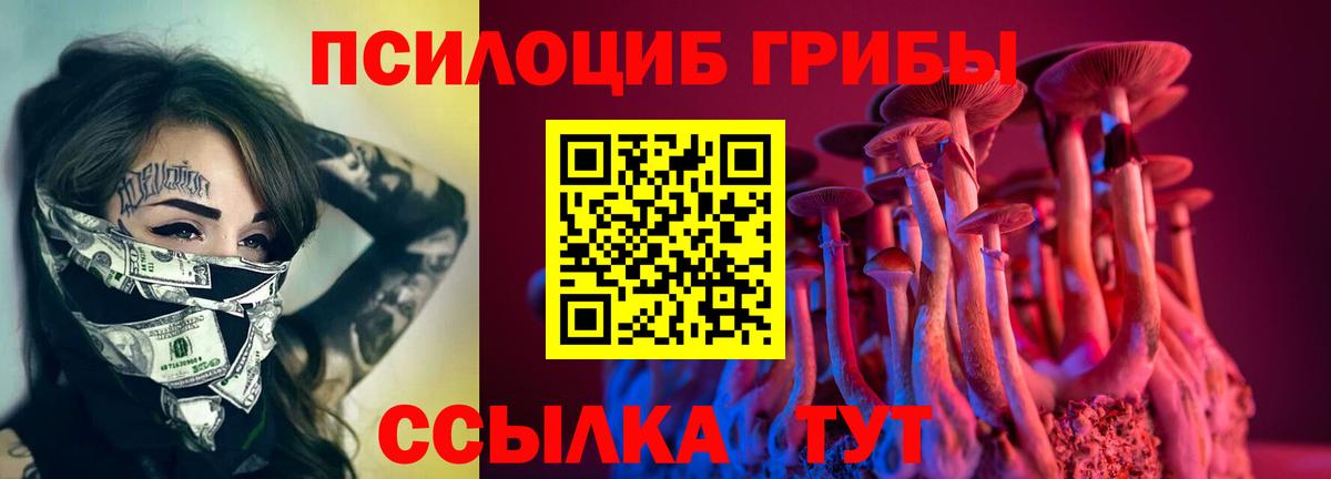 закладки  Галлюциногенные грибы Cubensis  Урюпинск  Вход с VPN  Псилоцибиновые грибы мухоморы 